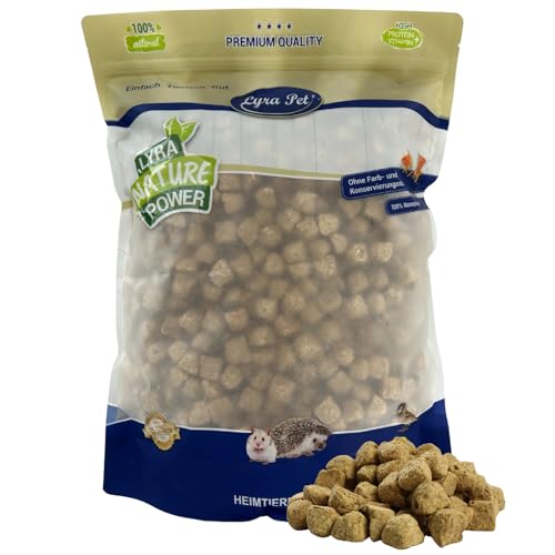 Lyra Pet® 1 kg Artemia Würfel getrocknet | Gefriergetrocknetes Futter aus Salinenkrebsen | Reich an Proteinen, Fetten & Ballaststoffen | Natürliche Nahrung für Zierfische & Reptilien