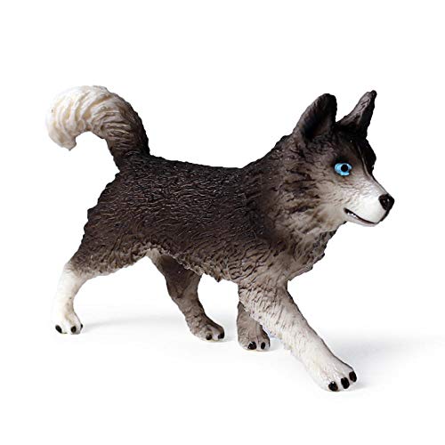 Sculpture Husky de haute qualité et ornement de collection statique en matériau solide
