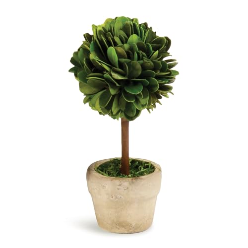 Napa Home & Garden, Boxwood MINI Single Ball Topiary in Pot