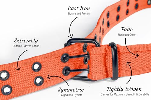 Belle Donne Unisex Double Grommet Belt, Canvas Belts for Men and Women, Double Prong Durable Eyelet Belt2