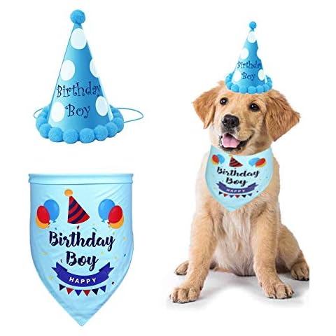 Pañuelo y sombrero de cumpleaños para perro SUOXU Cover