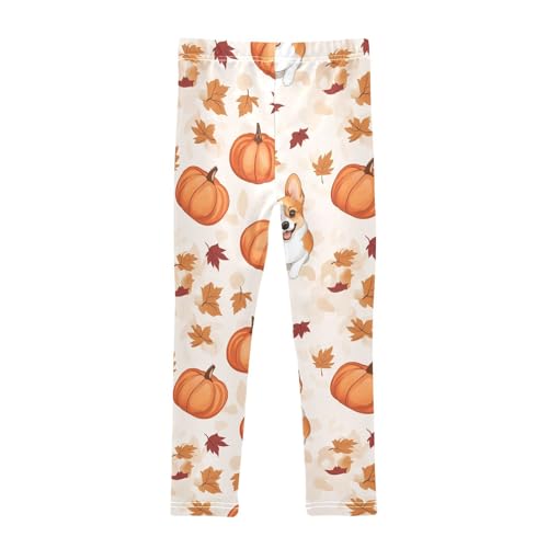 Corgi Pumpkin Girls Leggings,Workout Leggings for Girls Toddler Athletic Legging Size for 3-10T2