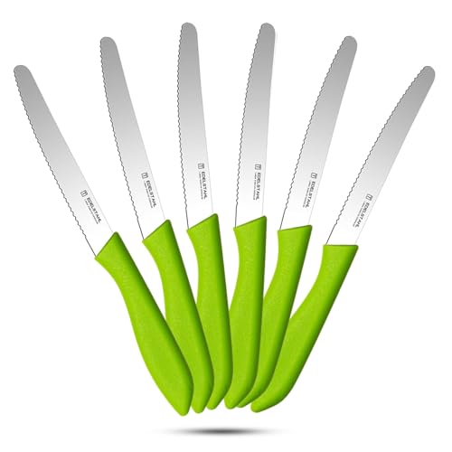 targzier Frühstücksmesser 6 Stück, Tafelmesser Aus Edelstahl, Scharfes Brotmesser, Tomatenmesser Wellenschliff, Gezackte Klinge, Grünes Kunststoffgriff-Tafelmesser-Set