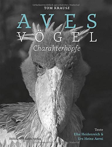 Aves | Vögel. Charakterköpfe Aves | Vögel. Charakterköpfe
