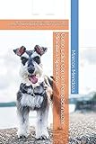  Cómo Lidiar Con Un Perro Schnauzer Miniatura Hiperactivo: Qué Hacer Si Tu Schnauzer Miniatura Se Orina, Destroza, Muerde, Ladra, Salta, Gruñe o Tira Correa