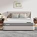 Novilla Queen Mattress 10 Inch,Hybrid Queen Size Mattress with Individually Pocketed Coils & Gel Infused Memory Foam & Silky Cool Fabric for Balanced Support & Pain Relief Comfort Mattresses in a Box