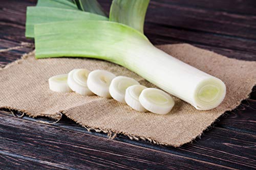 Large American Flag Leek Seeds