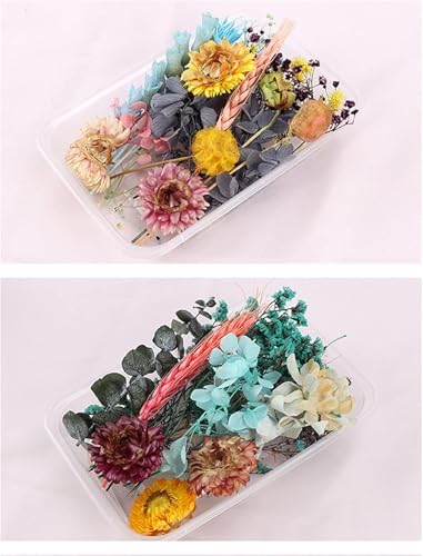 Flores secas mixtas en relieve para manualidades y decoración miniatura 4