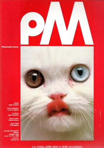 PM Panorama Mese 9 maggio 1983 Putignano la città delle spose-Pietro Menne
