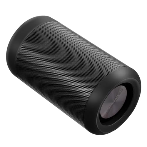 Enceinte sans fil portable double haut-parleur d'extérieur puissant 30w noir de fête
