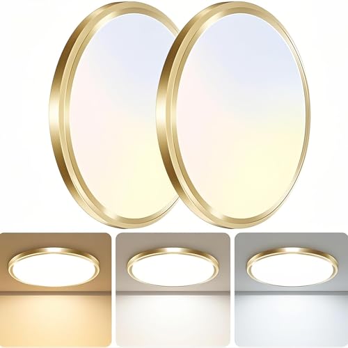 zemty 2Pack LED Ceiling Light Fixture, 6.5-Inch 12W 1200lm Small Flush Mount Light, Adjustable 3000K...
