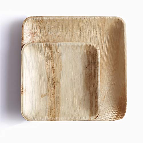 Quadratischer Teller Palmblatt 15 x 15 cm, 25 Stück Cover
