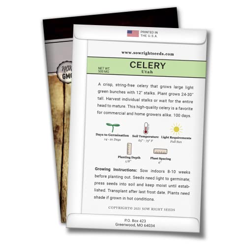 Sow Right Seeds - Celery Seed Collection for Planting - Chinese and Tall Utah Celery - Cold Hardy Veg - Non-GMO Heirloom Packets with Instructions to Plant and Grow a Home Garden - Fresh & Crisp - Image 4