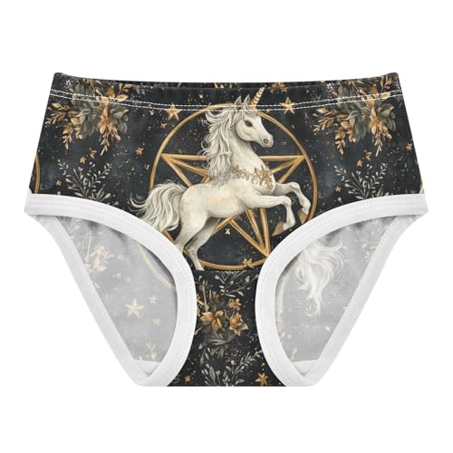 ZZKKO White House Golde Star Girls Underwear Toddler Panties for Girls Comfort Brief Size 2T-8Y