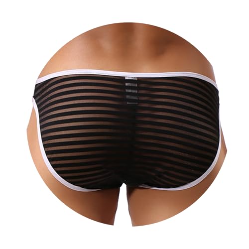 Evankin Men's Sexy Bikini Striped Briefs Underwear With Bulge Pouch Briefs Male Mesh See Through Breathable Underwear2