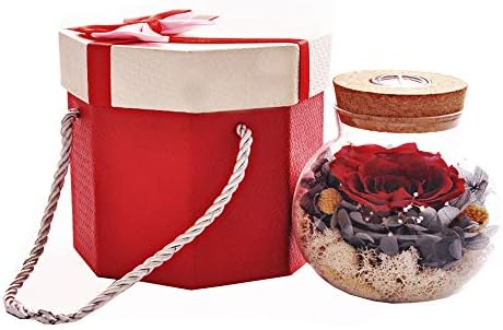 SANRAN Forever Flower Preserved Eternal Real Rose Present with Led Mood Light Best Gift for Mother's Day Thanksgiving Day Birthday Anniversary Valentine's Day Christmas-(Skyfire Max)