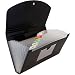JAM PAPER Accordion Folders - 13 Pocket Plastic Expanding File - Check Size - 5 x 10 1/2 - Black - Sold Individually