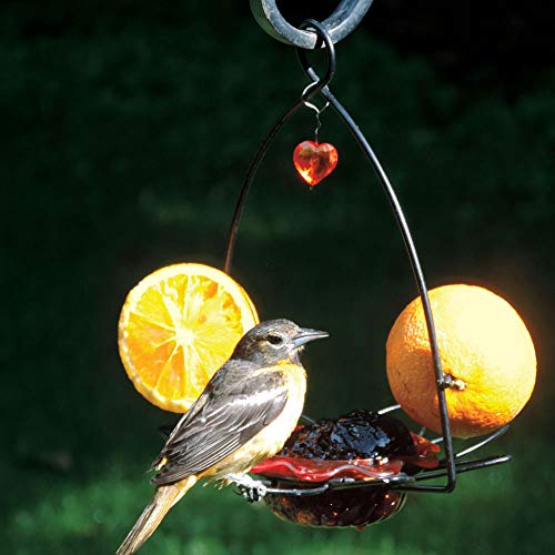 Birds Choice OFF Oriole Flower-Shaped Feeder W/Heart Ornament thumb #1