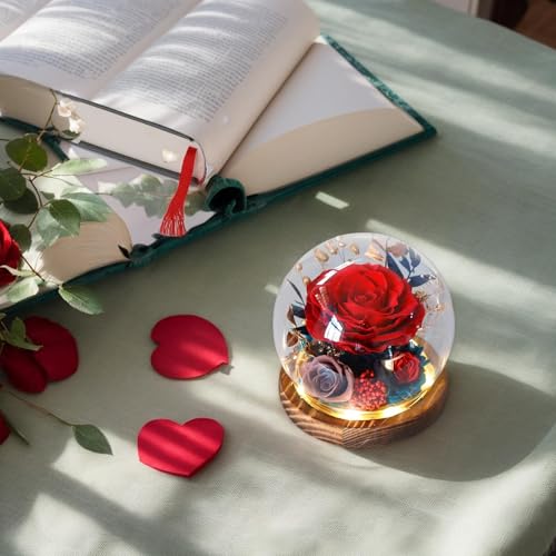 Preserved Roses, Forever Flowers in Glass Globe, Decorative Tabletop Centerpieces, Artificial Flowers Souvenir for Mother’s and Valentine's Day or Girlfriend Gift, 12cm/13cm, Red - Afbeelding 5