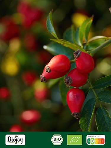Biojoy BIO-Hagebutten (1 kg), getrocknet und ganz, Hagebuttentee (Rosa canina)