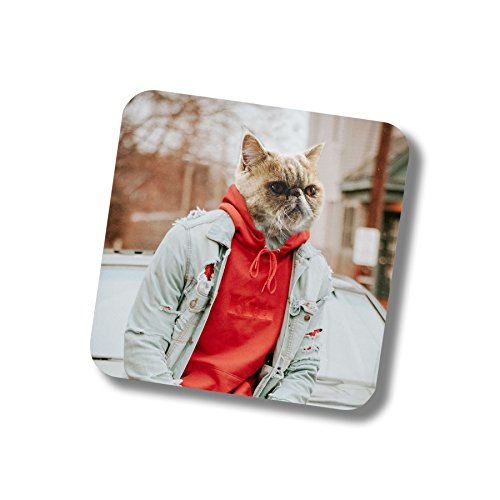 Drink Coasters Hipster Cats Novelty Coaster Set Gifts For Men Women #TOP6