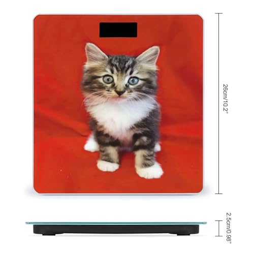 Báscula digital para peso corporal con pantalla LED miniatura 2