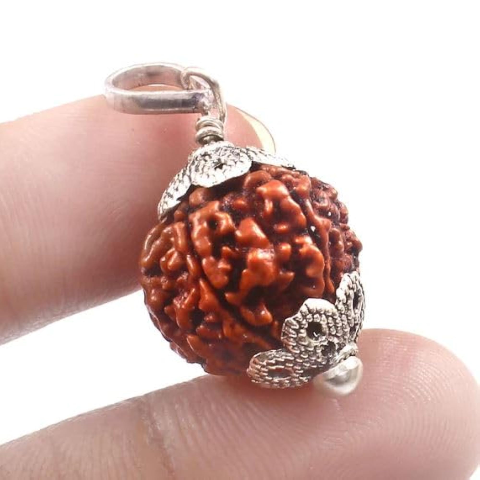 Six Face Rudraksha Original Certified Bead