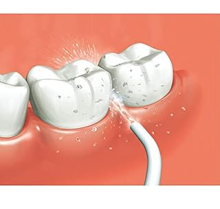 Panasonic Portable Oral Irrigator - Prodotto per la cura dentale, colore: Bianco