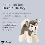 Steiff Kuscheltier Bernie Husky, Süßes Stofftier mit Kunststoffaugen, Kinder, Jungen & Mädchen, Plüschtier 17 cm, Weiß, 104985