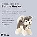 Steiff Kuscheltier Bernie Husky, Süßes Stofftier mit Kunststoffaugen, Kinder, Jungen & Mädchen, Plüschtier 17 cm, Weiß, 104985