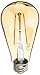 Westinghouse Lighting 3317800 60-Watt Equivalent ST20 Dimmable Amber Filament LED Light Bulb with Medium Base