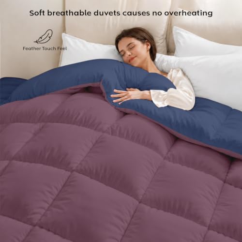 Image of AYKA Reversible Comforter 220 GSM Microfiber Reversible AC Comforter /Blanket for Winter /Quilt /Dohar /Duvets for King Size Blanket /Comforter Double Bed (Plum & Navyblue, 90 * 100 inch)