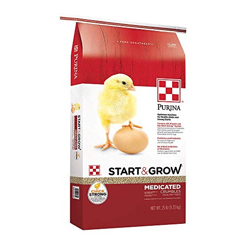 Best Purina Poultry Feed Start And Grow 2021 Where to Buy?