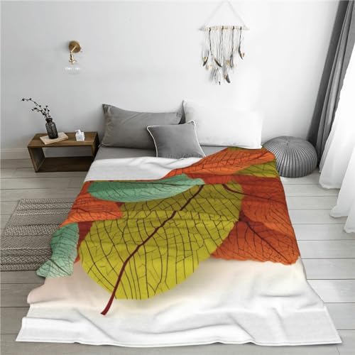 Couverture en flanelle de microfibre légère et douce pour toutes les saisons