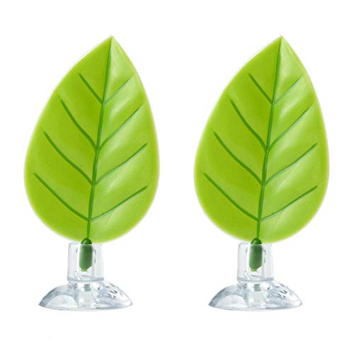 betta leaf hammock placement