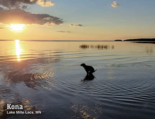 Pooping Pooches White Elephant Gag Gift Calendar #TOP2