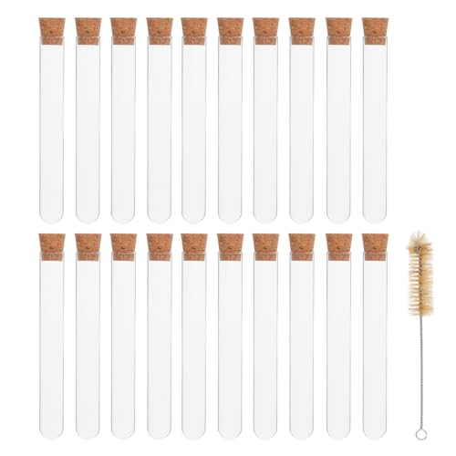 TENDYCOCO 20 PcsKX RNt Rh~  t ۑp uVtϋvKX ^ѕ֗{p