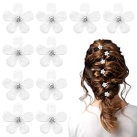 Hanyousheng 2 Pezzi Forcine a Forma di U, Forcine per Capelli Francesi in Metallo per Capelli Spessi, Capelli Fermacapelli Donna Accessori per Acconciature Fermagli Ragazza (Oro e Argento