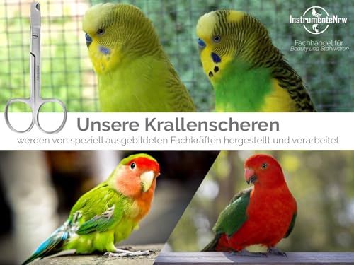 Krallenschere Wellensittiche Krallenzange Vögel gerader Krallenschneider 9,5 cm - Krallen kürzen von Papageien Sittiche Kleintiere - Rostfreier Edelstahl - Markenqualität vom Fachhandel