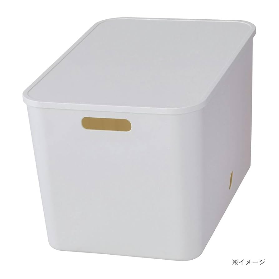 ホワイト 収納ボックス 8個付き Amazon｜カインズ(CAINZ) インテリアソフトケース 幅38cm 奥行