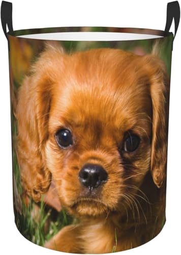 ꂽ̂ ꂽ LoAELOE`[YEXpjGiF̊т̌j [ 󕨓 [{bNX ܂ e G [obO QA󎺁A Vvł[ M