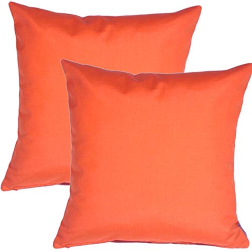 PILLOW DÉCOR Sunbrella Outdoor Pillow, Melon, 20