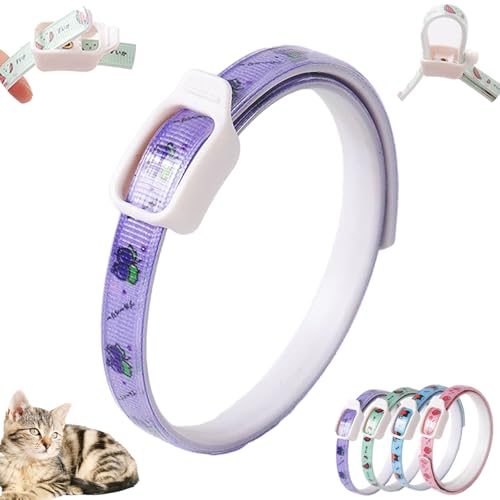 Langzeit Floh & Zeckenschutz Halsband für Hunde - Natürliches Insektenabwehrhalsband, Schützt effektiv gegen Flöhe, Zecken, Milben & Parasiten (Lila, 5x5x1cm)