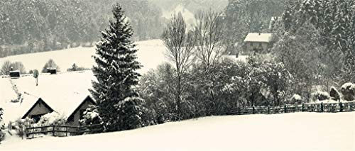 Trapped in the Snow: An Escape Room Thriller - Image 4