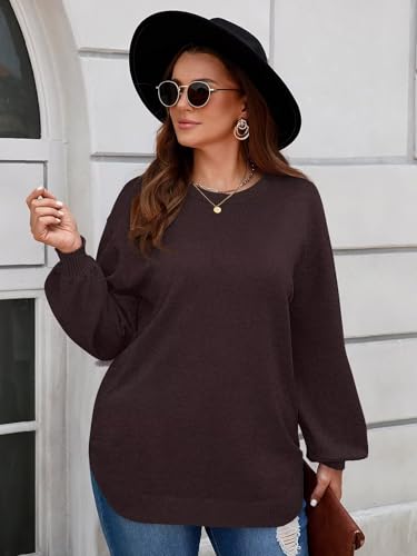 Image of BELAROI Plus Size Sweaters for Women Long Sleeve Shirts Loose Casual Oversized Tunic Sweater Fall Outfits Curved Hem M-5X