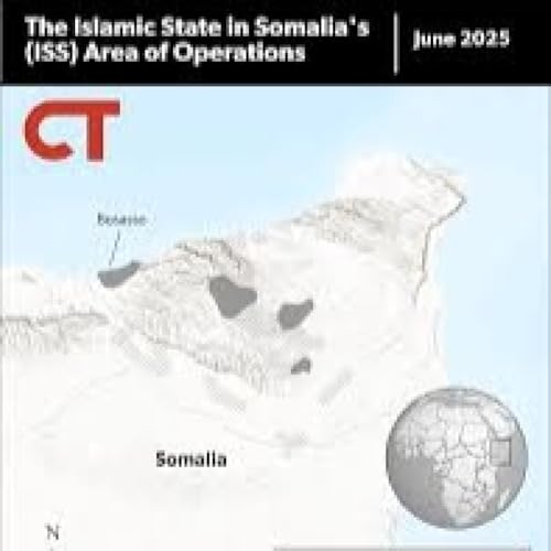 EL ESTADO ISL&Aacute;MICO EN SOMALIA: LA OFICINA AL-KARRAR.