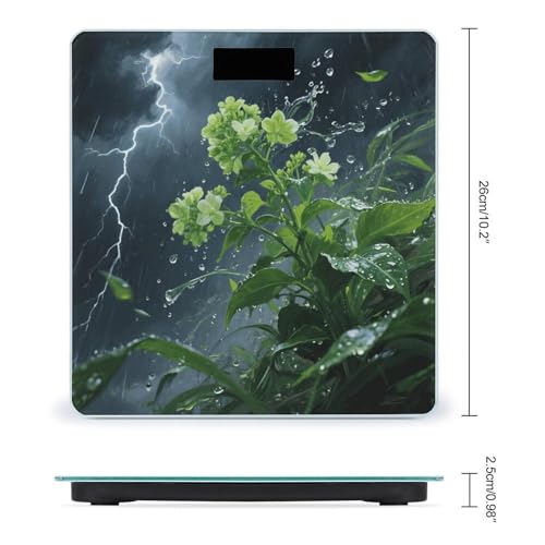 Báscula digital de baño con pantalla LCD y vidrio templado miniatura 2
