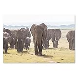 Postereck - 3303 - Manada de Elefantes, Animales, África, Paisaje – Arte de Pared Lámina, Impresión de Fauna Africana, Safari - Poster - 4:3 81,0 cm x 61,0 cm