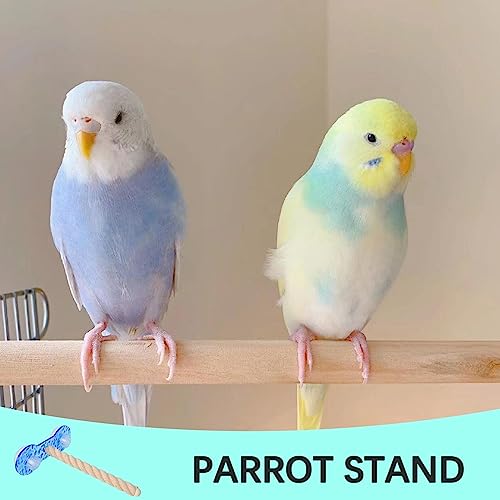 Supporto per trespolo per pappagalli,Supporto per