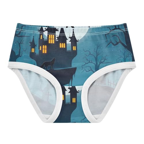 Cotton Toddler Underwear Custom Spooky Halloween Night Panties Little Girl Florals Briefs Underpants 2t